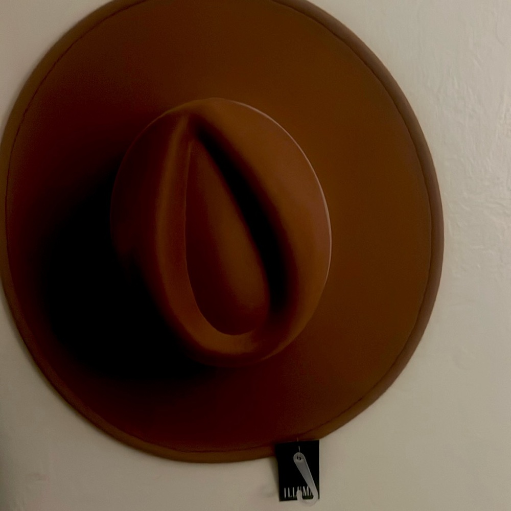 Brown hat nice for the winter